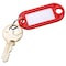 Barska 100 Key Tags Large, assorted color AF13678 - alternate 6